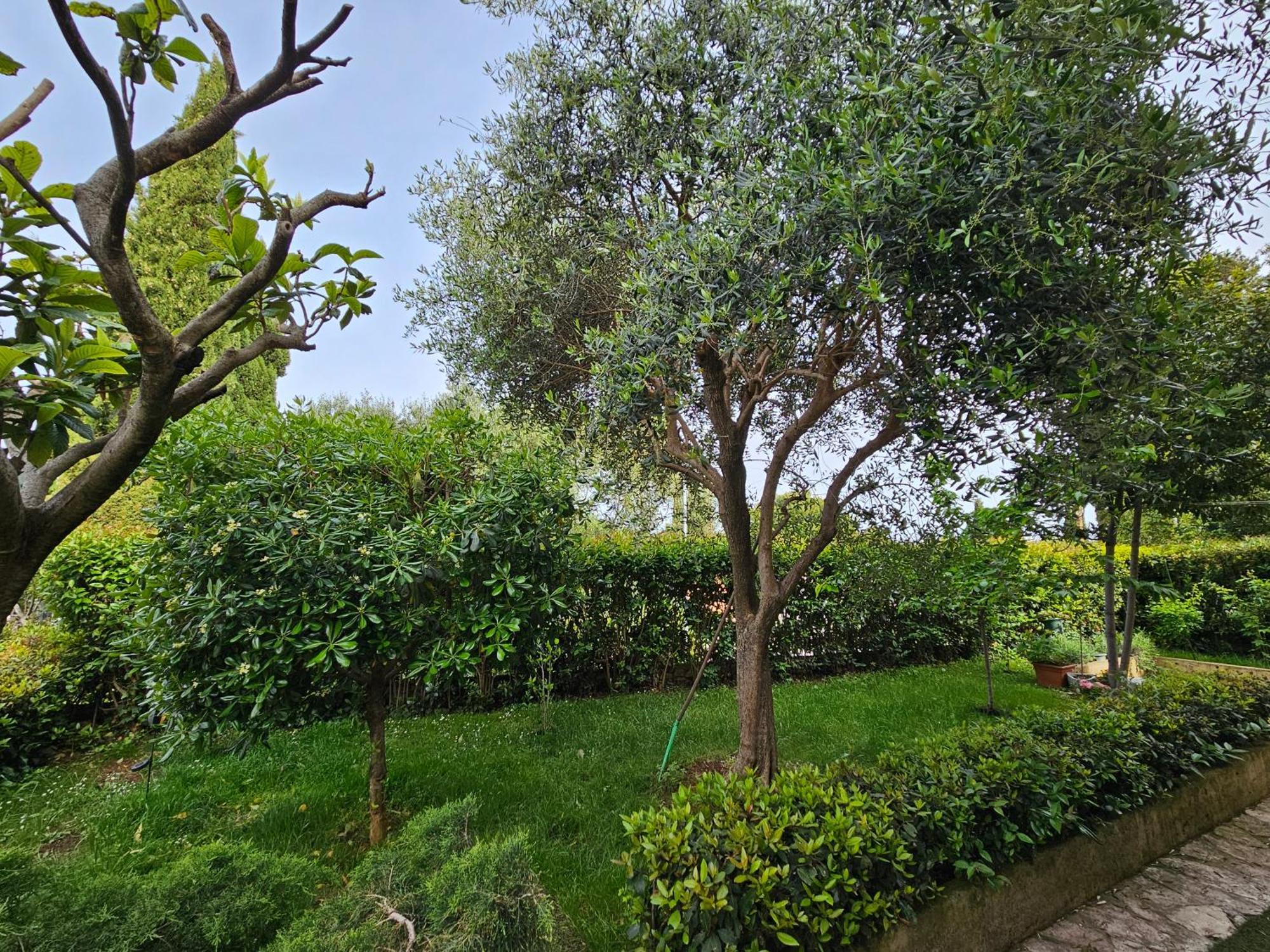 Zita - Heart Of Rovinj, Apartment For 2, Free Parking, 2Min Center, 5Min Beach Walk Buitenkant foto